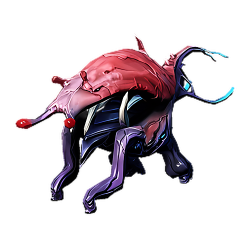 Maggot